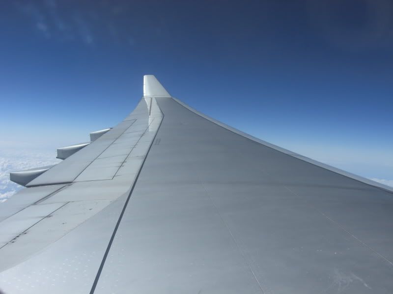 CIMG6566.jpg