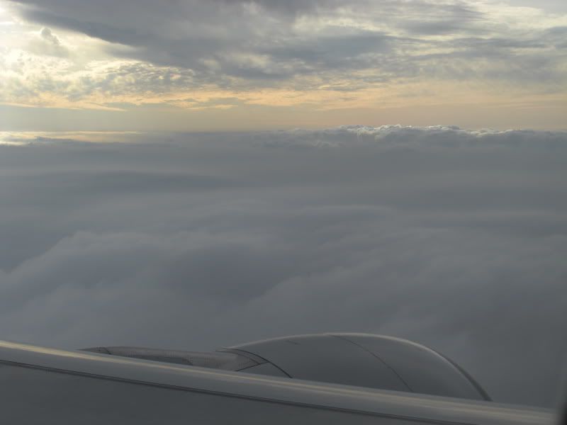 CIMG6568.jpg