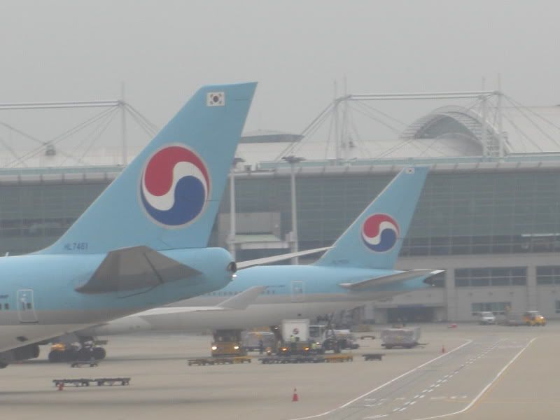 CIMG6576.jpg