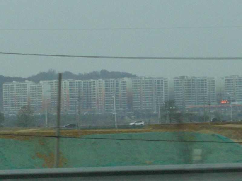 CIMG6582.jpg