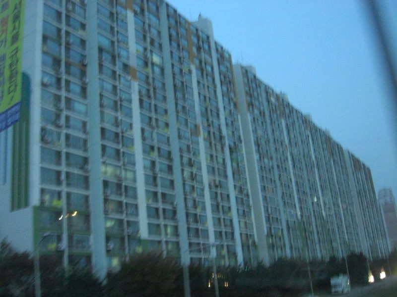 CIMG6596.jpg