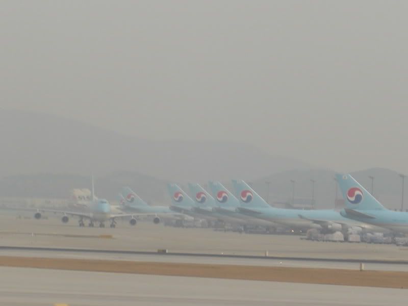CIMG6650.jpg