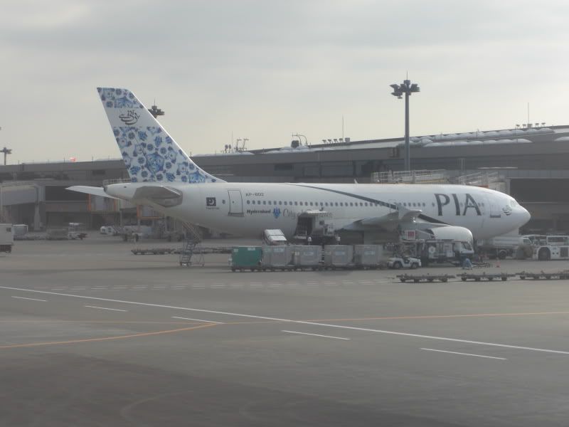CIMG6671.jpg