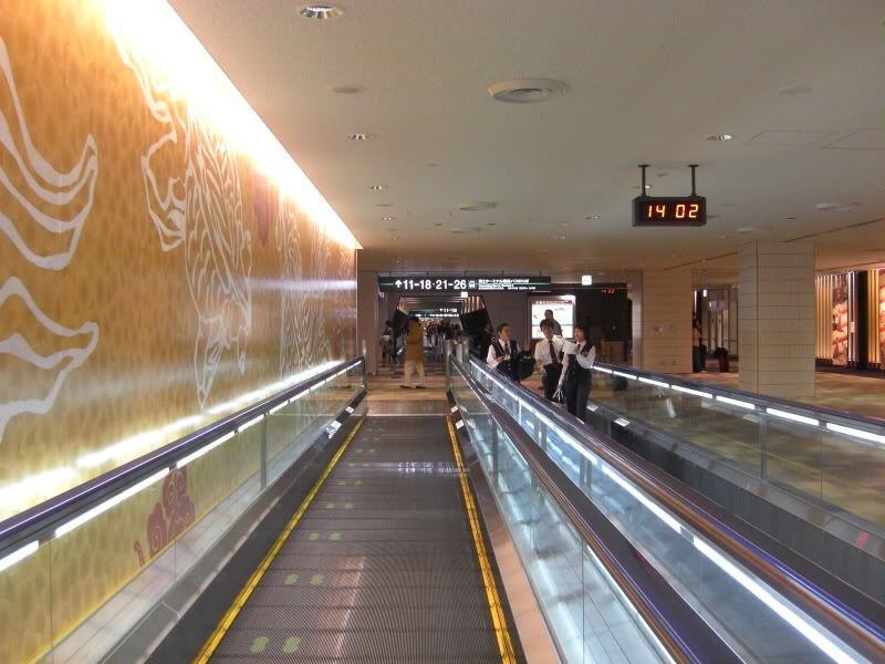 CIMG6676.jpg