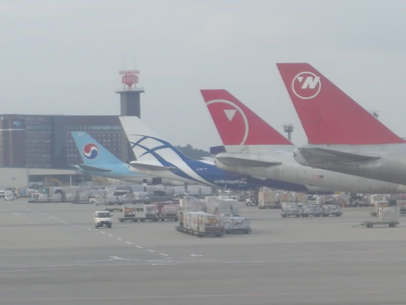 CIMG6689.jpg