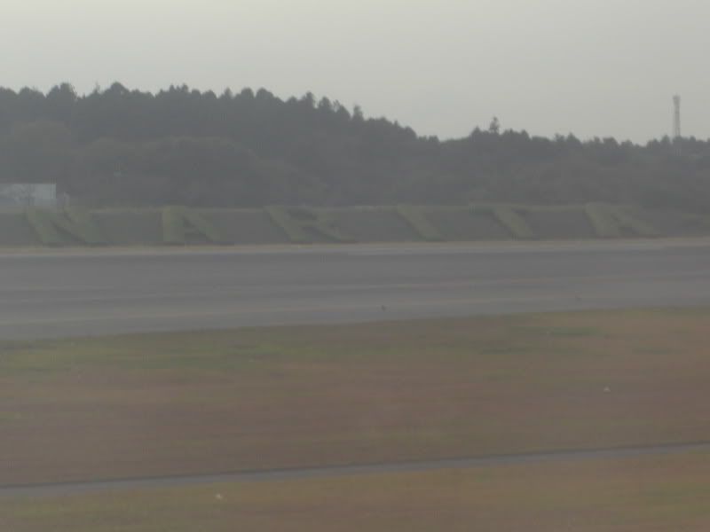 CIMG6691.jpg