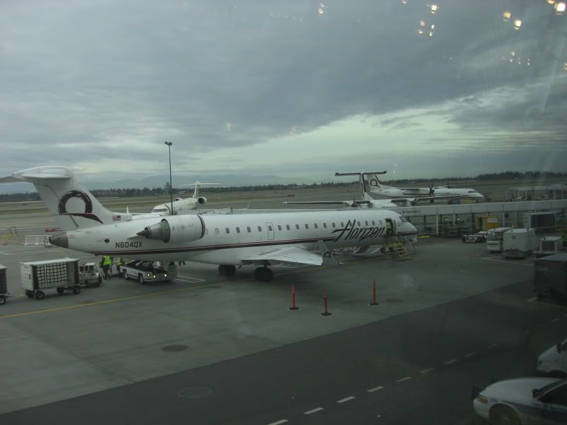 CIMG6734.jpg