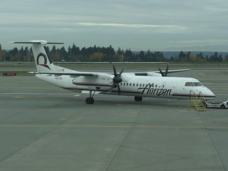 CIMG6735.jpg
