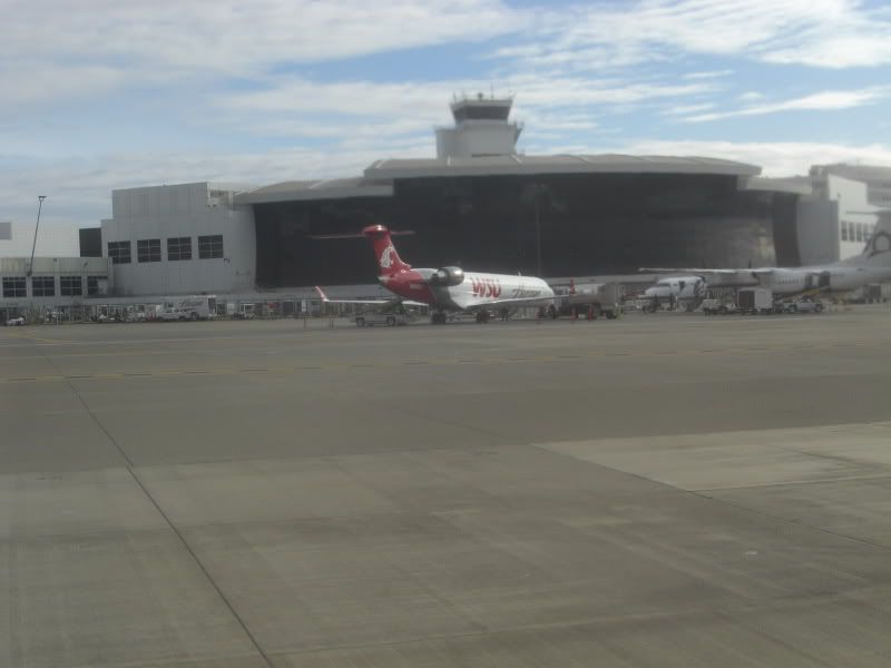 CIMG6742.jpg