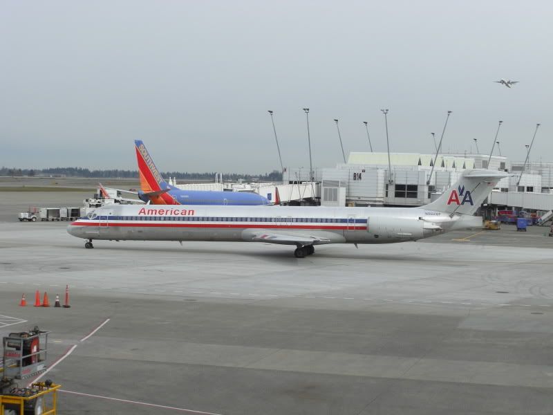 CIMG4317.jpg
