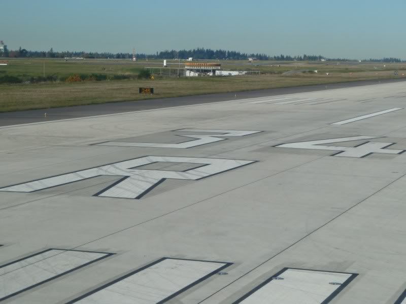 P1020169.jpg
