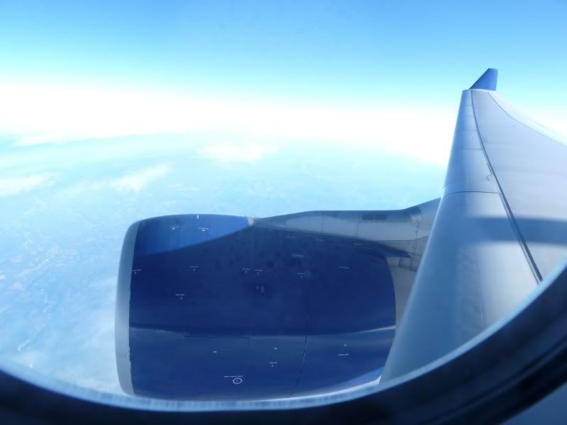 P1020179.jpg