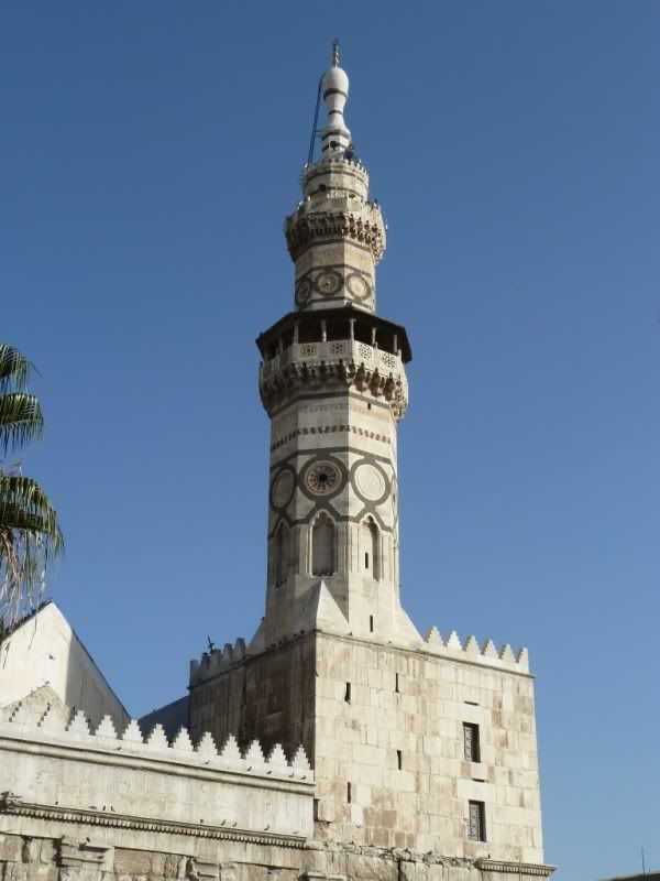 P1020474-Copy-Copy.jpg