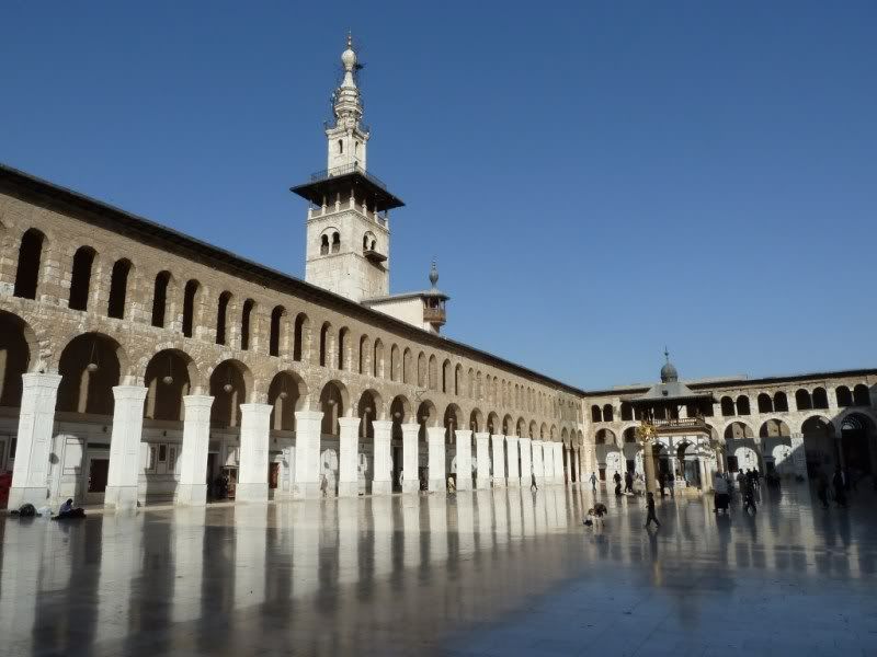 P1020475-Copy.jpg