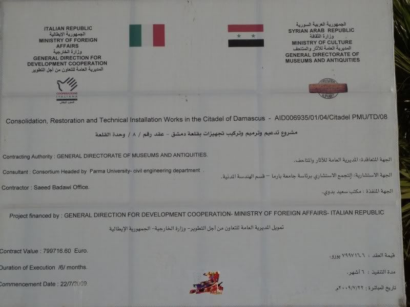 P1020503.jpg