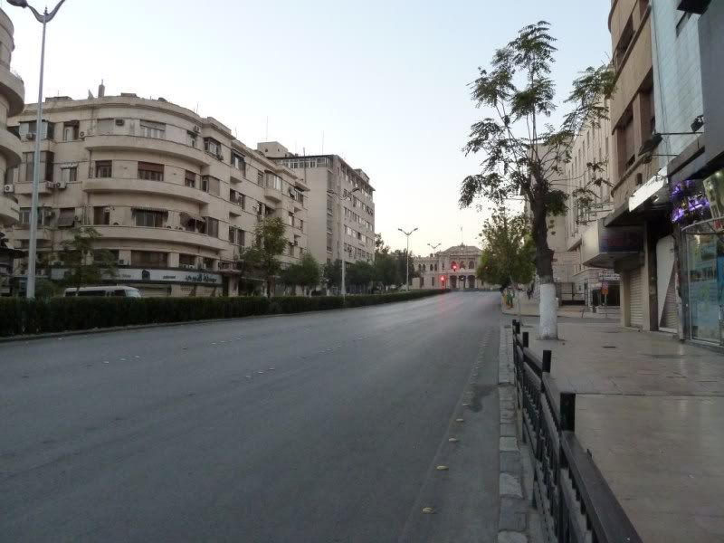 P1020524.jpg