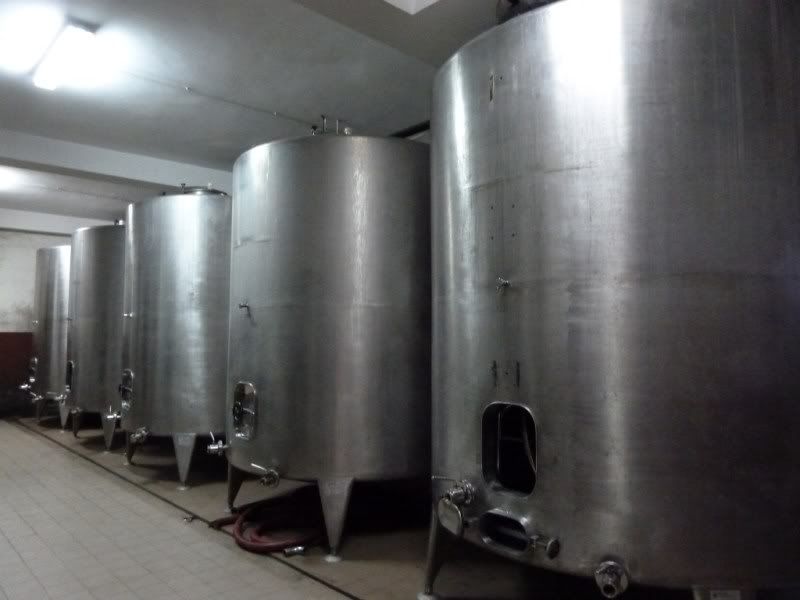 P1020542-Copy-Copy.jpg