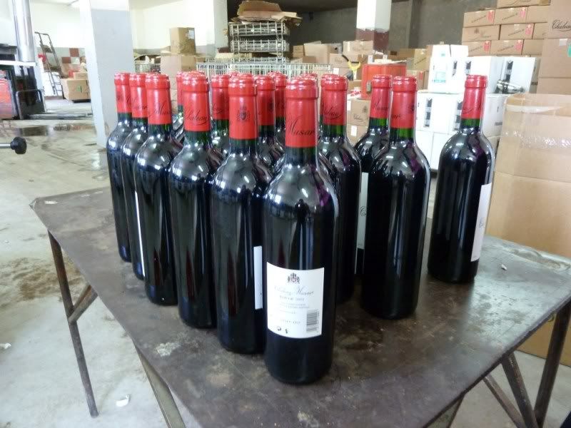 P1020552-Copy.jpg