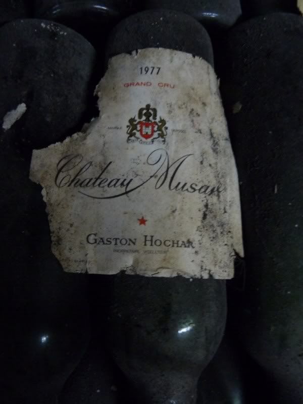 P1020559-Copy.jpg