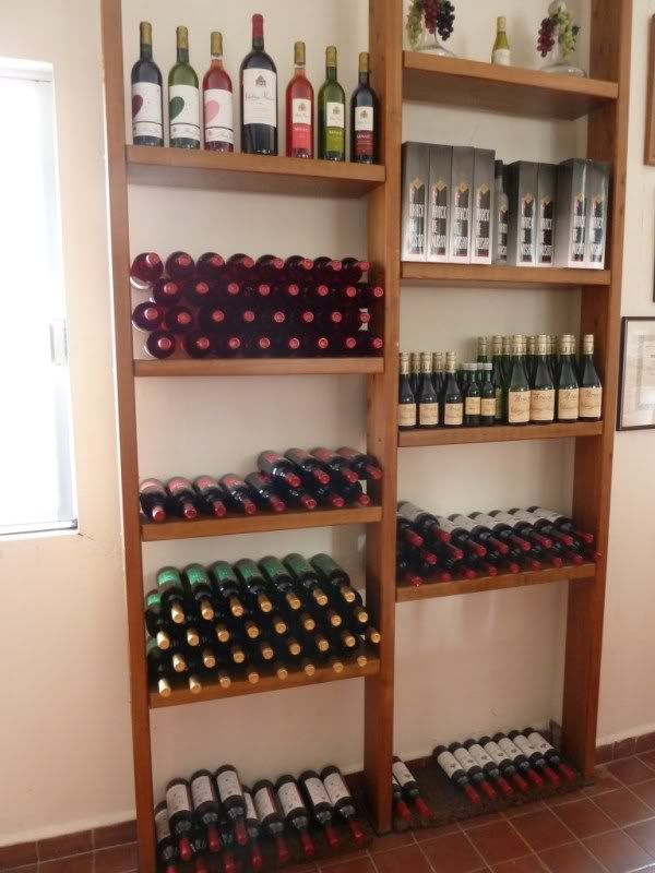 P1020567-Copy.jpg