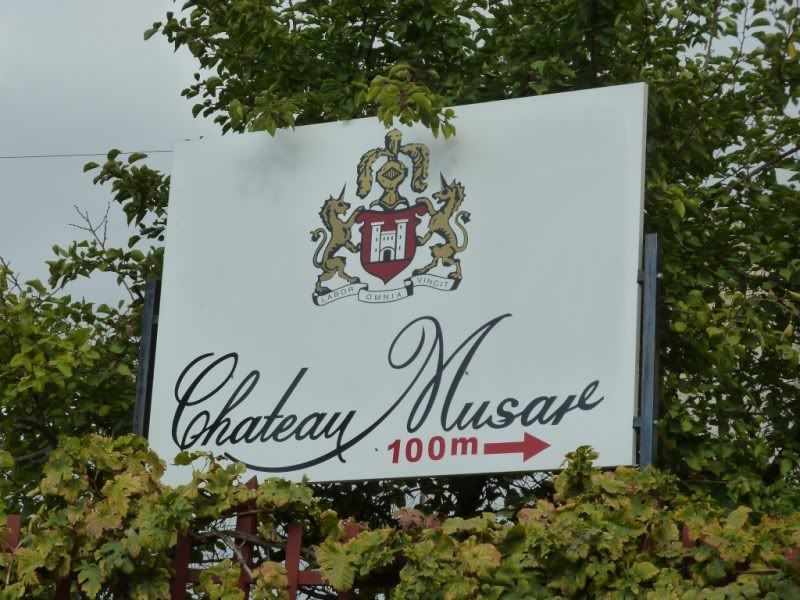 P1020569-Copy.jpg