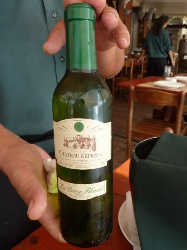 P1020571-Copy.jpg