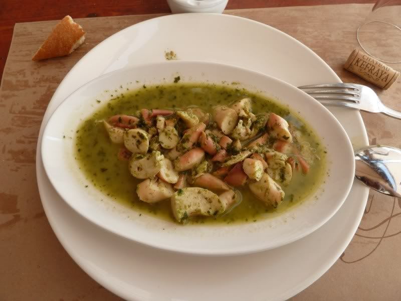 P1020572-Copy.jpg