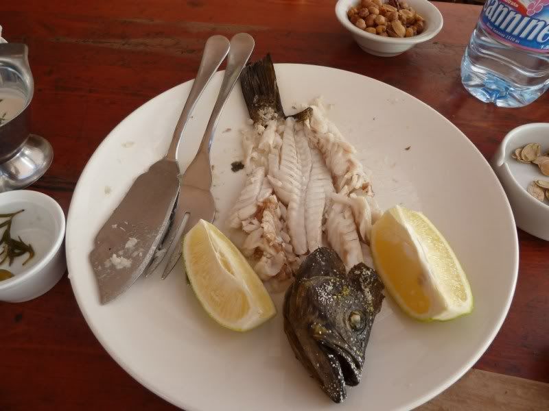 P1020574-Copy.jpg