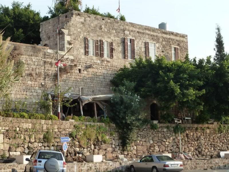 P1020576-Copy.jpg