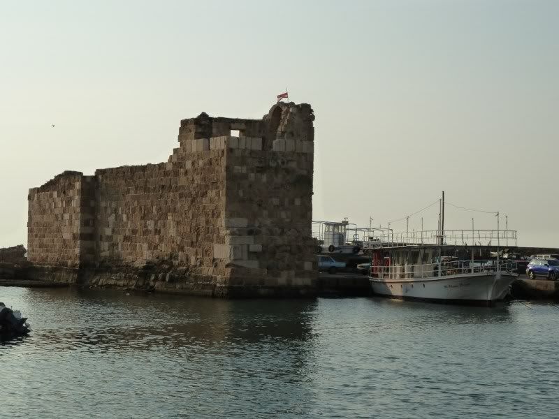 P1020577.jpg
