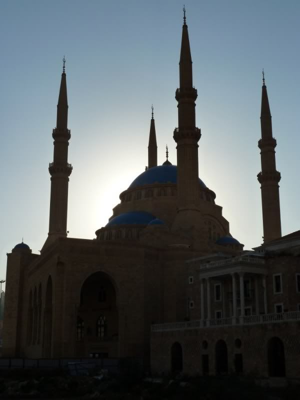 P1020610.jpg