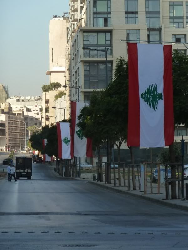 P1020620.jpg