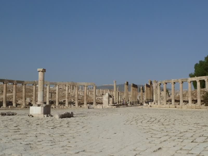 P1020678-Copy.jpg