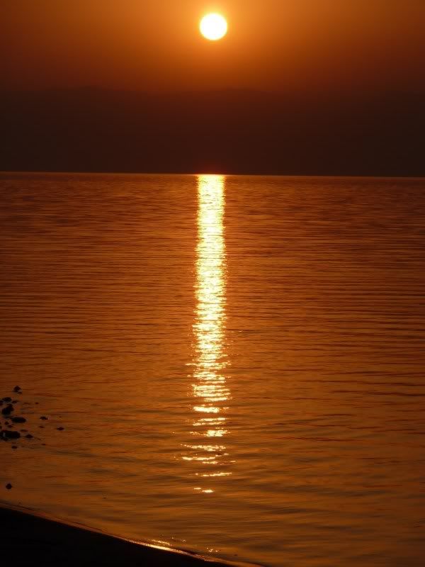 P1020710-Copy.jpg