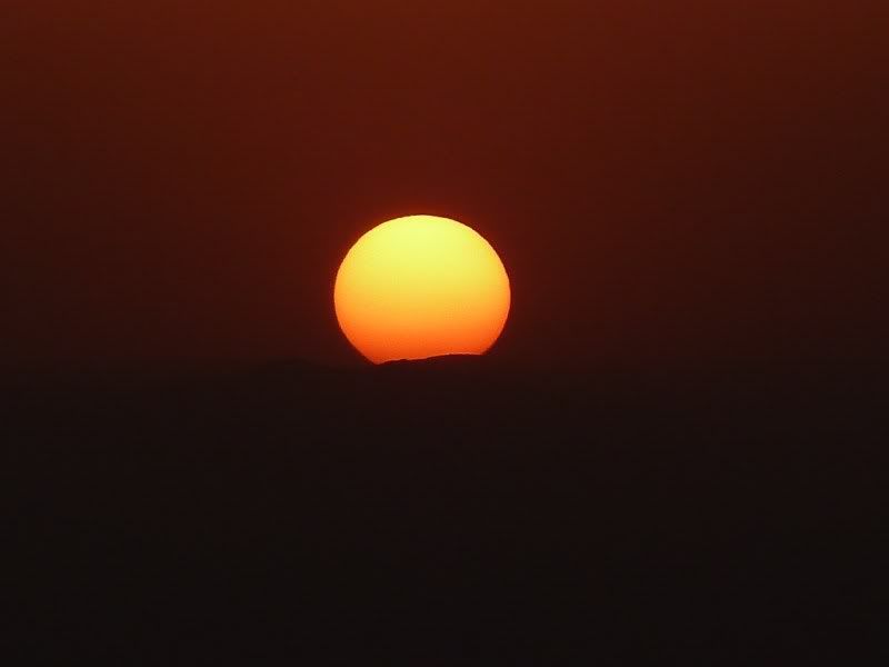 P1020717-Copy.jpg