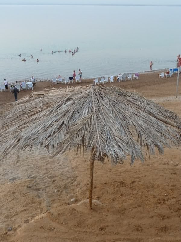 P1020722-Copy.jpg