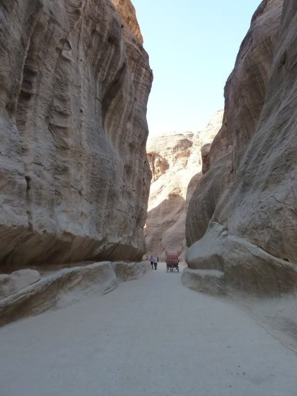 P1020762-Copy.jpg