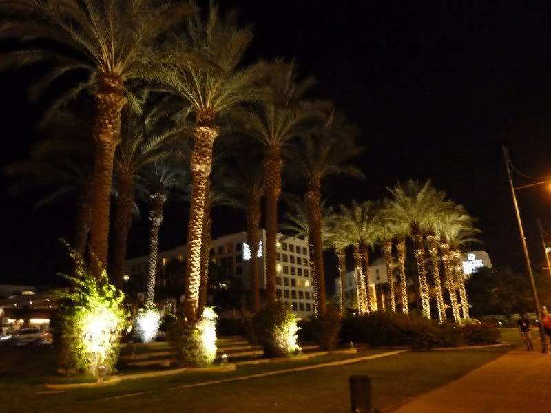 P1020842-Copy-Copy-Copy.jpg