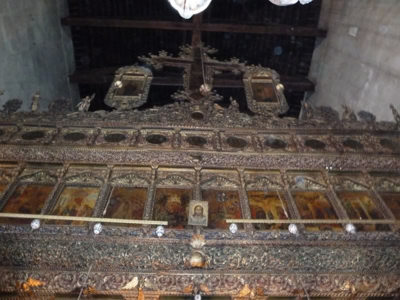 P1020955-Copy-Copy.jpg