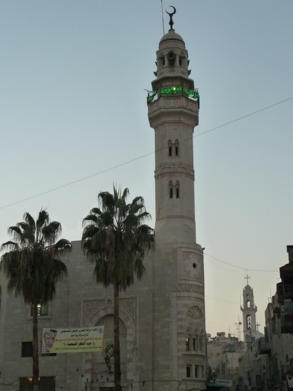 P1020977-Copy-Copy.jpg