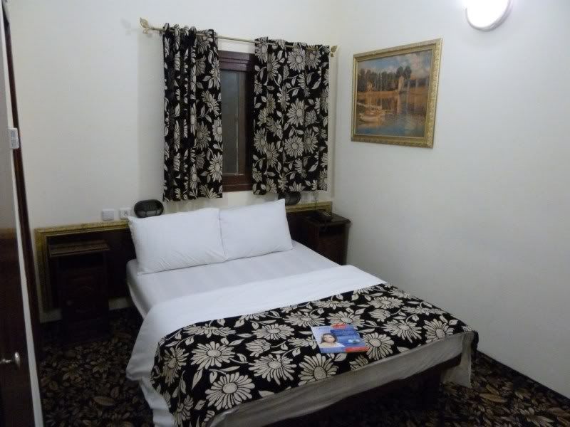 P1020982-Copy-Copy.jpg