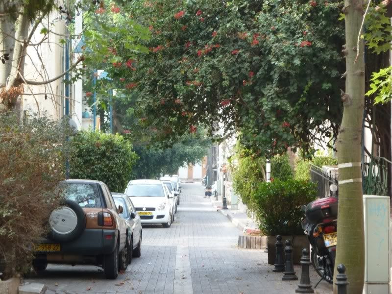 P1020989-Copy-Copy.jpg
