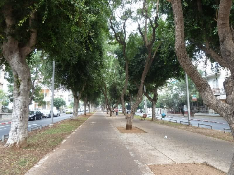 P1020994-Copy.jpg