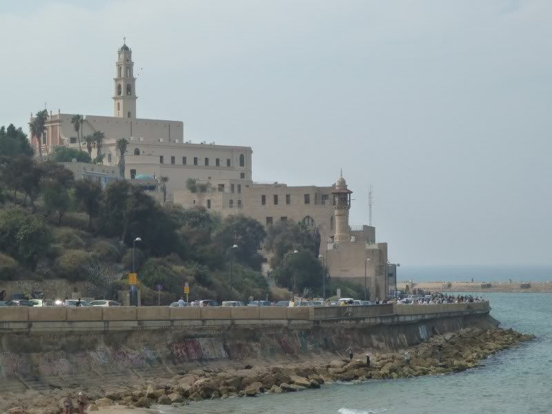 P1030004.jpg