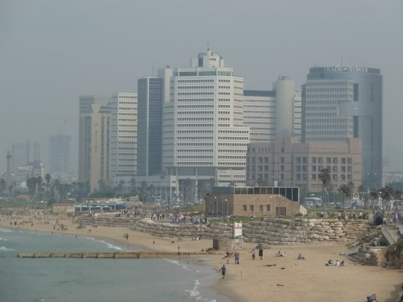 P1030005.jpg
