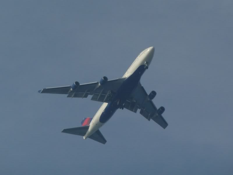 P1030025-Copy.jpg