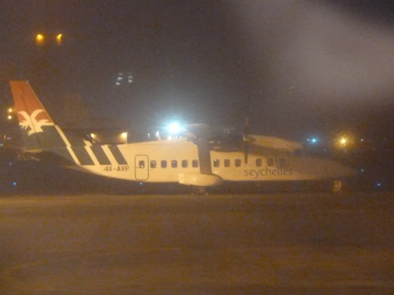 P1030035-Copy.jpg