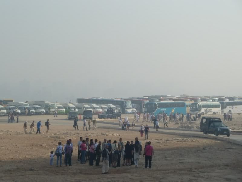P1030102-Copy-Copy.jpg