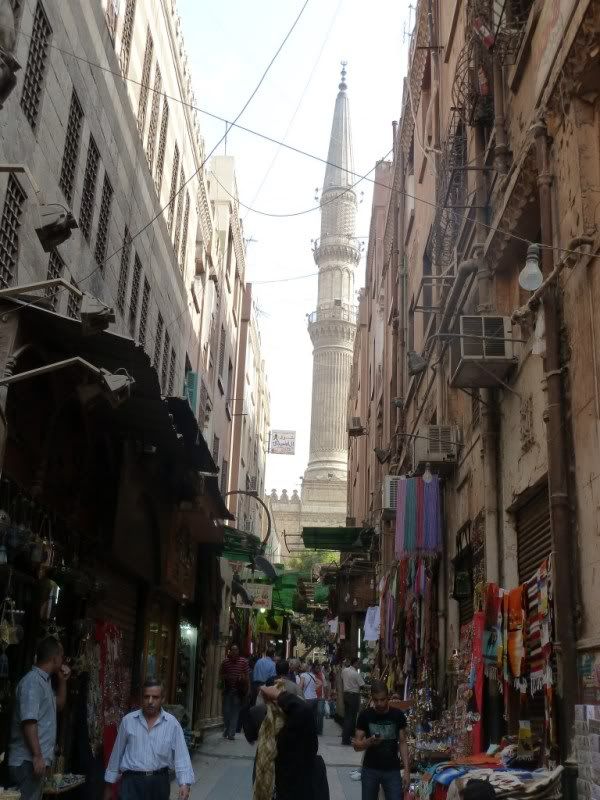 P1030115-Copy-Copy.jpg