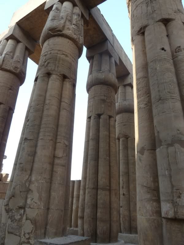 P1030189-Copy-Copy.jpg